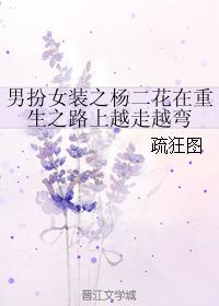 男扮女装之杨二花在重生之路上越走越弯txt下载